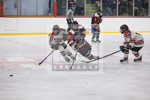 Hingham, Pembroke, girls hockey, patriot league