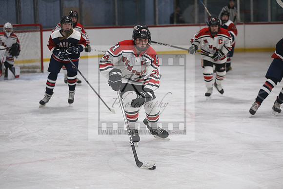 Hingham, Pembroke, girls hockey, patriot league