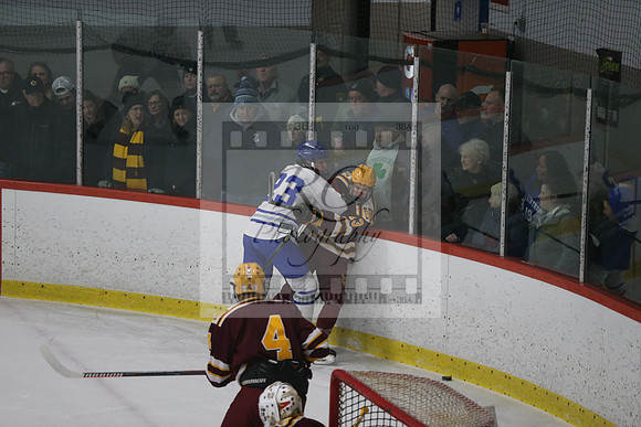 Braintree, Weymouth, boys hockey, miaa, state tournament