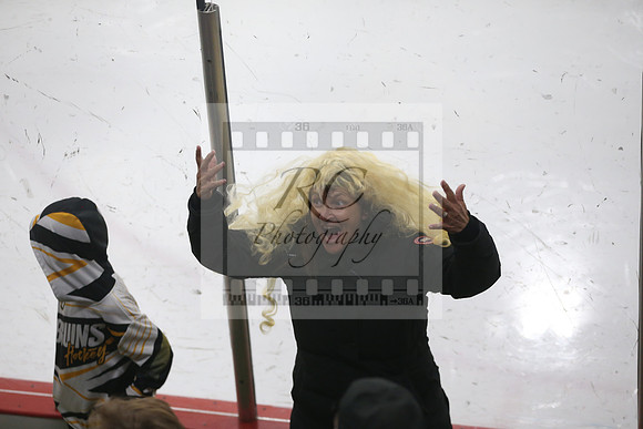 Braintree, Weymouth, boys hockey, miaa, state tournament