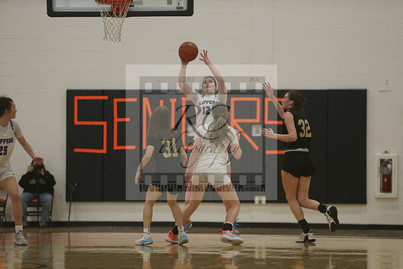 Norwell, Bishop Fenwick, girls hoops, miaa, state semifnal, 2023