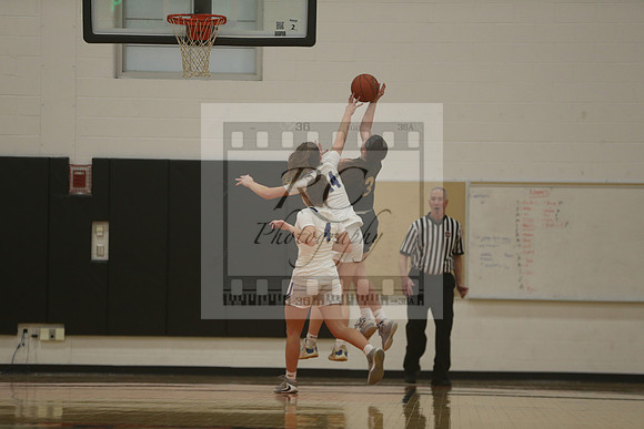 Norwell, Bishop Fenwick, girls hoops, miaa, state semifnal, 2023