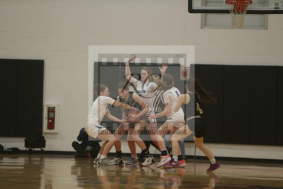 Norwell, Bishop Fenwick, girls hoops, miaa, state semifnal, 2023